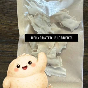 the little making place sourdough starter